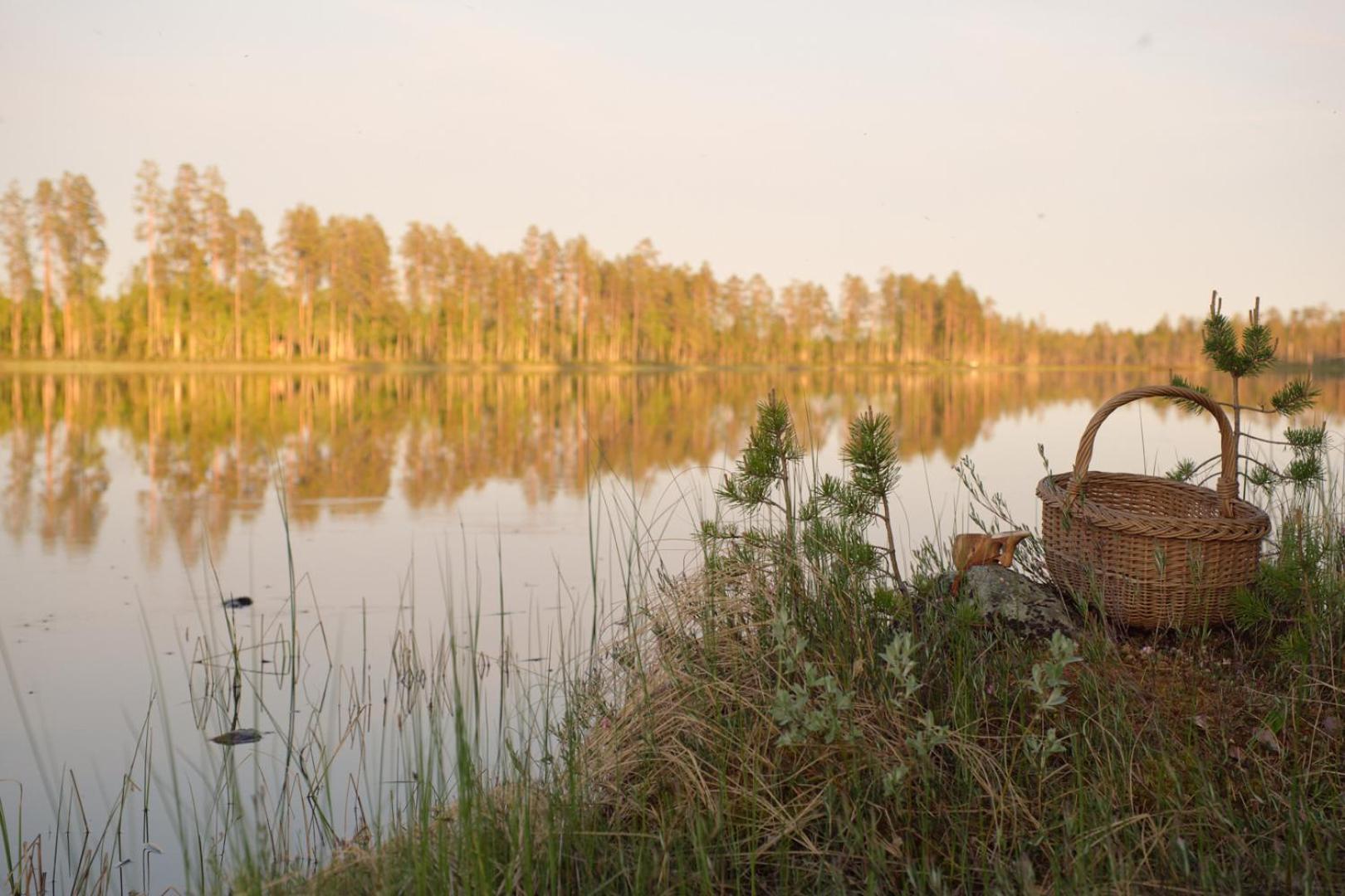 Langforsen Glamping & Lapland Experience Hotel Lapptrask Exterior photo